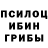 Псилоцибиновые грибы ЛСД Radiozmey