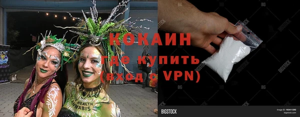 спиды Вяземский