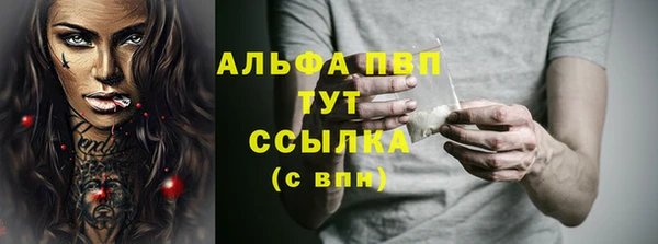 спиды Вяземский
