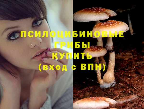 спиды Вяземский