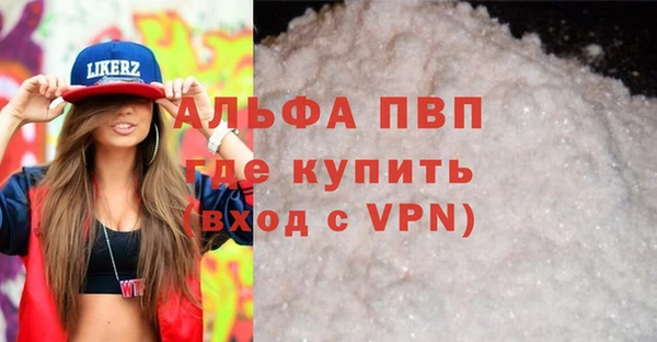 спиды Вяземский