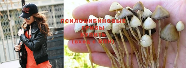 кокаин перу Вязьма