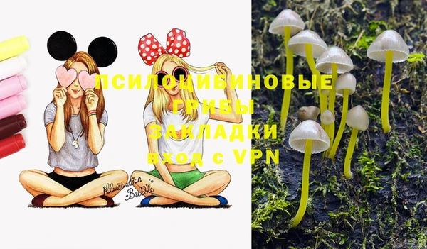 спиды Вяземский